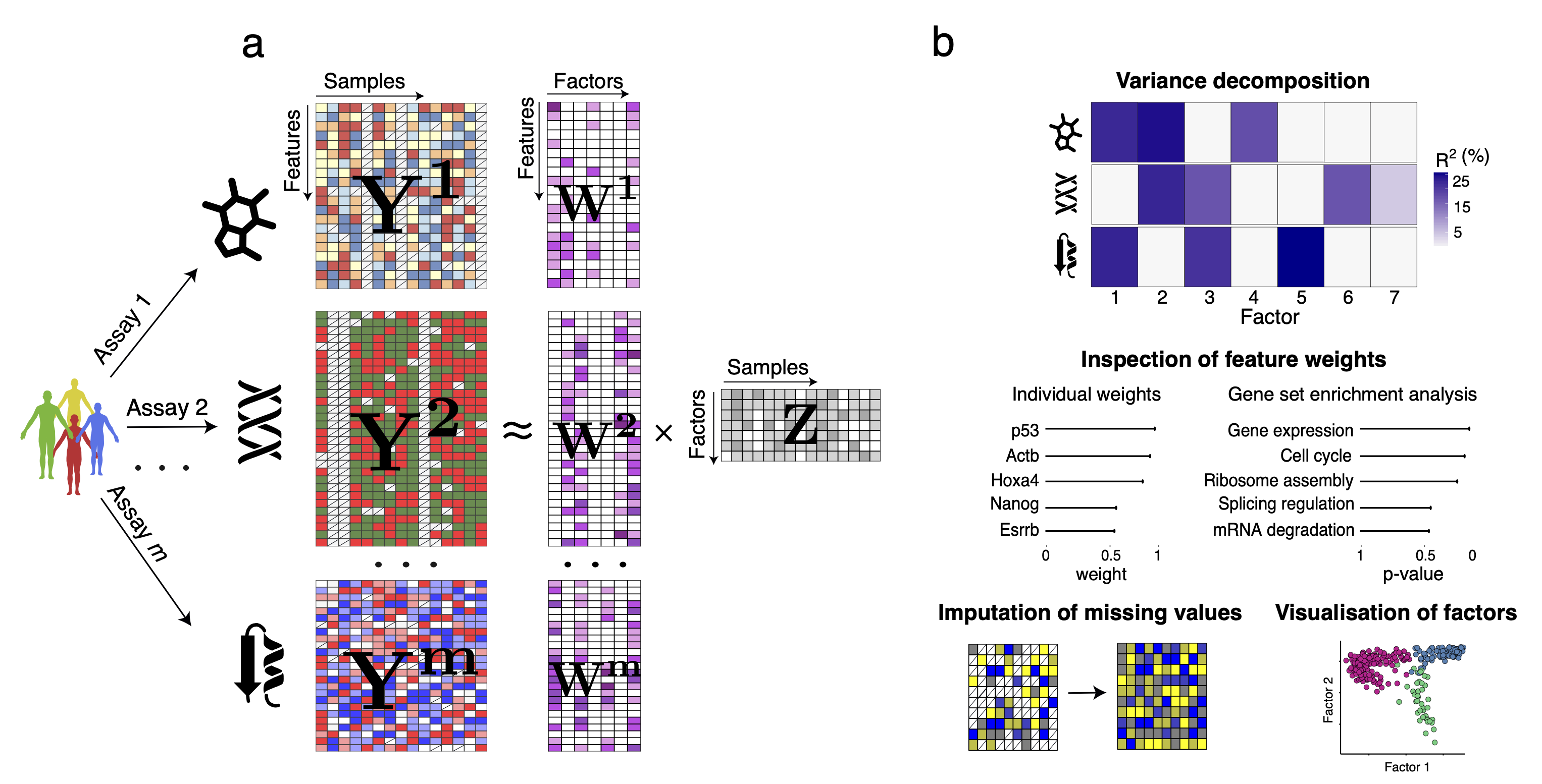 MOFA | Multi-Omics Factor Analysis